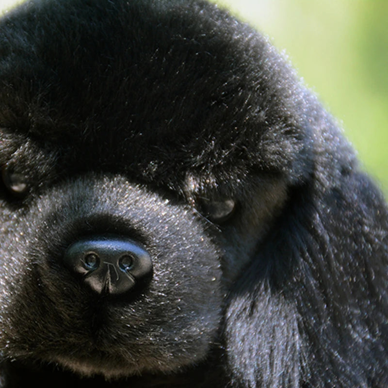 Cavalier King Charles Spaniel Plush Toy - Lifelike High Fidelity Stuffed Animal for Dog Lovers