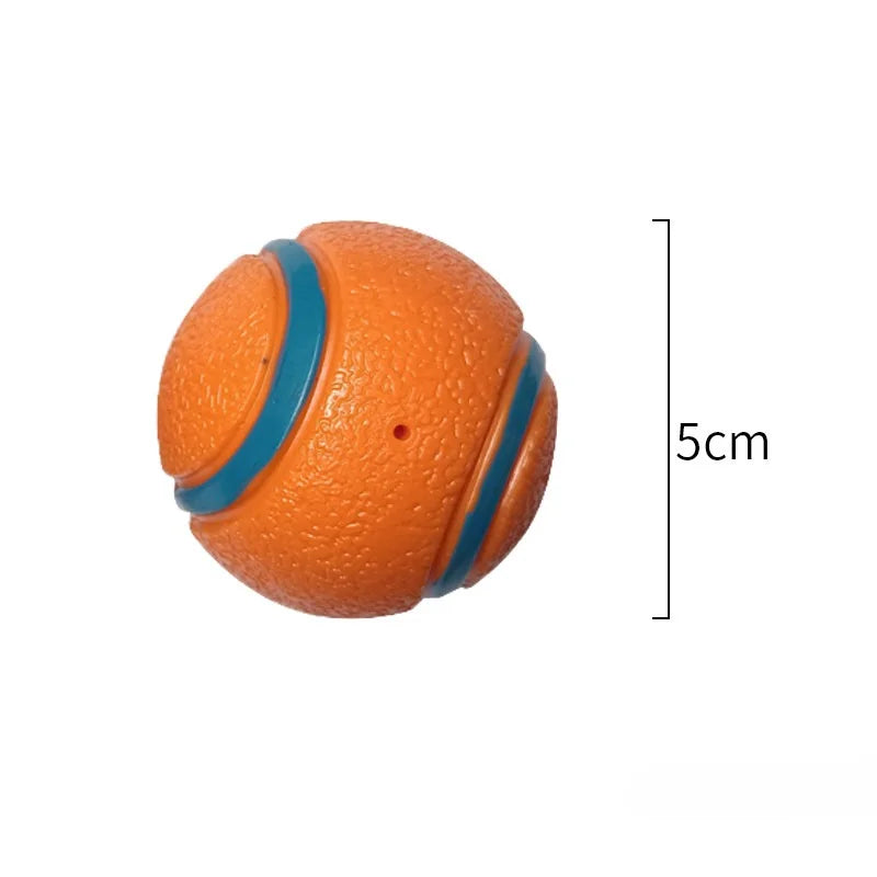 Cavalier King Charles Spaniel Fetch Ball - Durable Bouncy Toy for Active Play