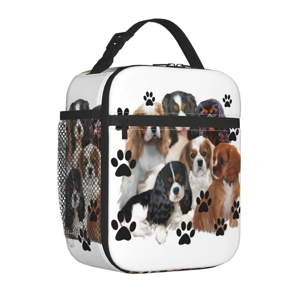 Cavalier King Charles Spaniel Portable Lunch Box Leakproof Family Group Dog Lover Thermal Cooler Food Insulated Lunch Bag Kids