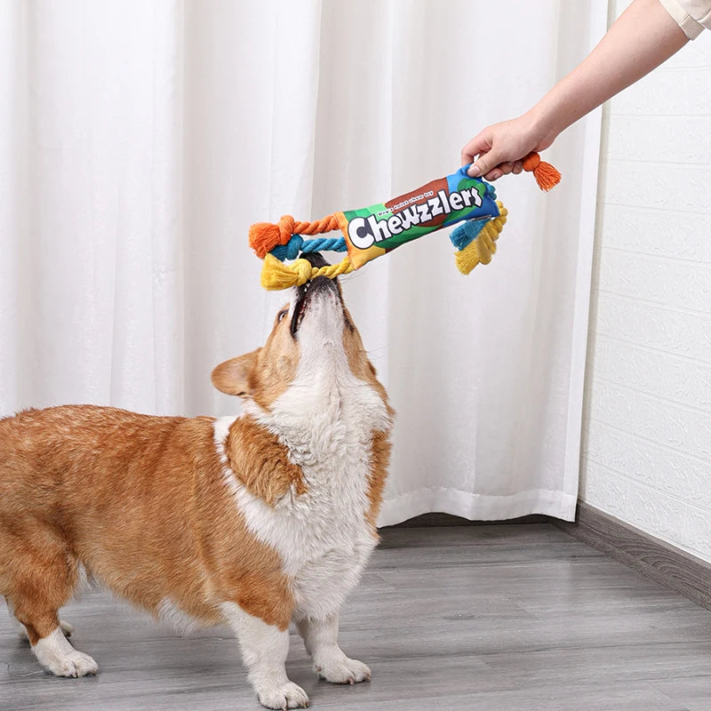 Dog Toys, Plush Dog Toys, Squeaky Dog Toys, Stuffed Toys for Small Medium Large All Breed Sizes Dogs, Big Armadillo Animals Toy