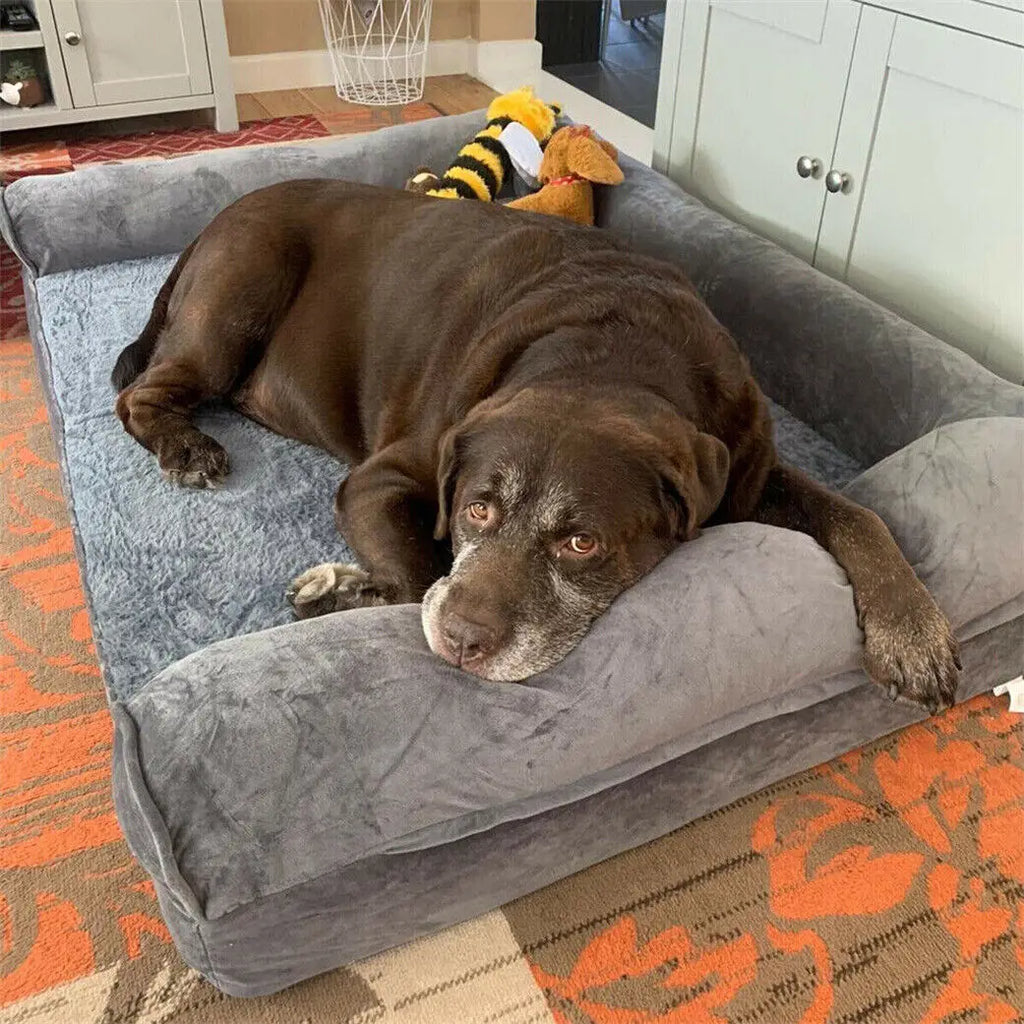 Orthopedic Dog Bed - Extra Large Mattress with Removable Washable Cover