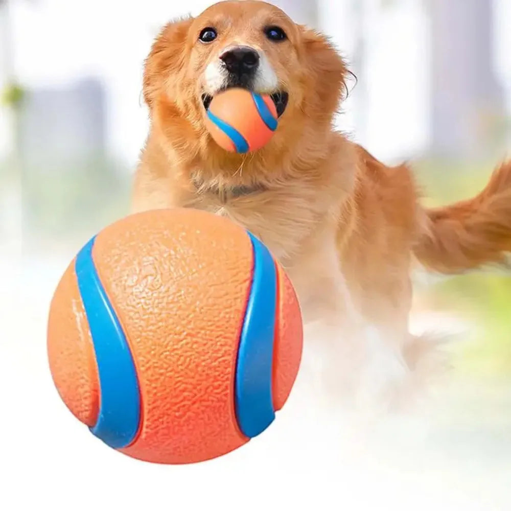 Cavalier King Charles Spaniel Fetch Ball - Durable Bouncy Toy for Active Play