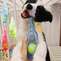 Beer Bottle Chew Toy - Durable TPR Toy with Tennis Ball