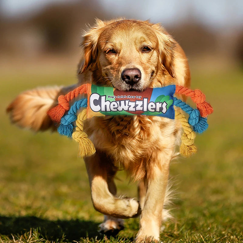 Dog Toys, Plush Dog Toys, Squeaky Dog Toys, Stuffed Toys for Small Medium Large All Breed Sizes Dogs, Big Armadillo Animals Toy