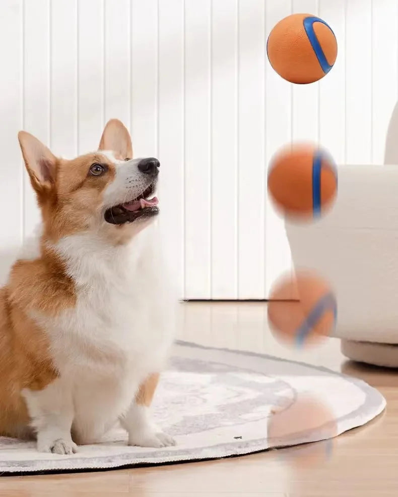 Cavalier King Charles Spaniel Fetch Ball - Durable Bouncy Toy for Active Play