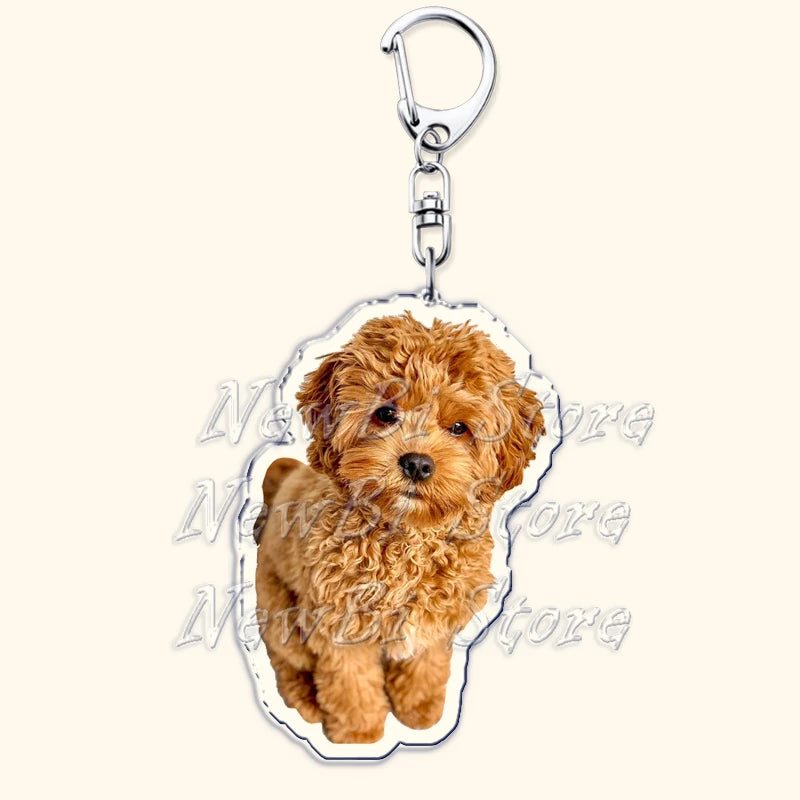 Cavalier King Charles Spaniel Dog Keychains for Accessories Bag Key Chain Ring Jewelry Pet Puppy Lover Animal Gifts Keyrings