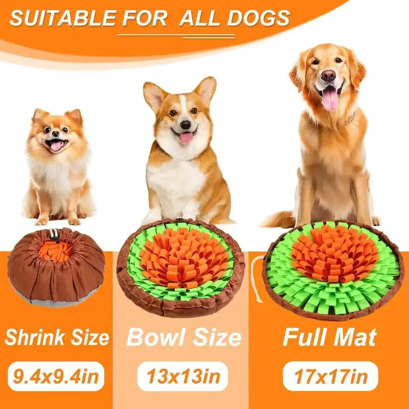 Snuffle Mat - Interactive Feeding Game for Mental Enrichment
