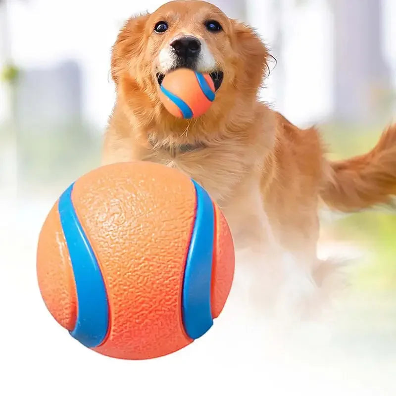 Cavalier King Charles Spaniel Fetch Ball - Durable Bouncy Toy for Active Play
