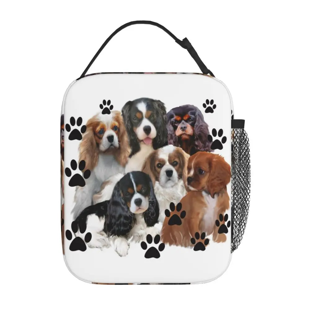 Cavalier King Charles Spaniel Portable Lunch Box Leakproof Family Group Dog Lover Thermal Cooler Food Insulated Lunch Bag Kids
